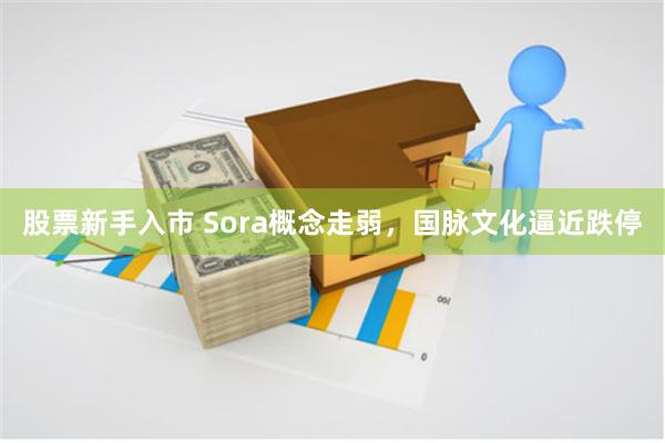 股票新手入市 Sora概念走弱，国脉文化逼近跌停