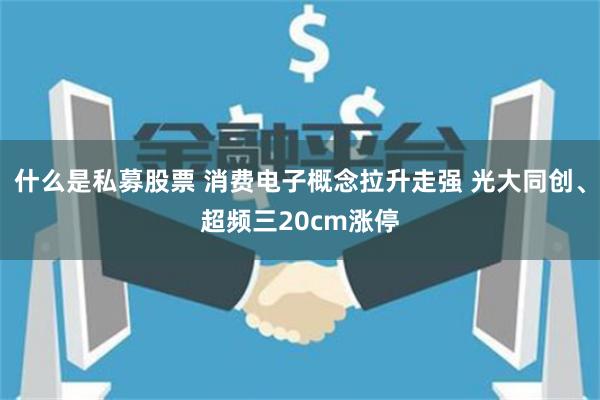 什么是私募股票 消费电子概念拉升走强 光大同创、超频三20cm涨停