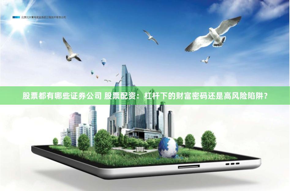 股票都有哪些证券公司 股票配资：杠杆下的财富密码还是高风险陷阱？